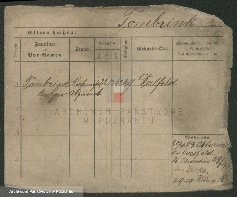 Obraz 9 z jednostki "Tombers - Tomczak (żonaci - samotni mężczyźni)"