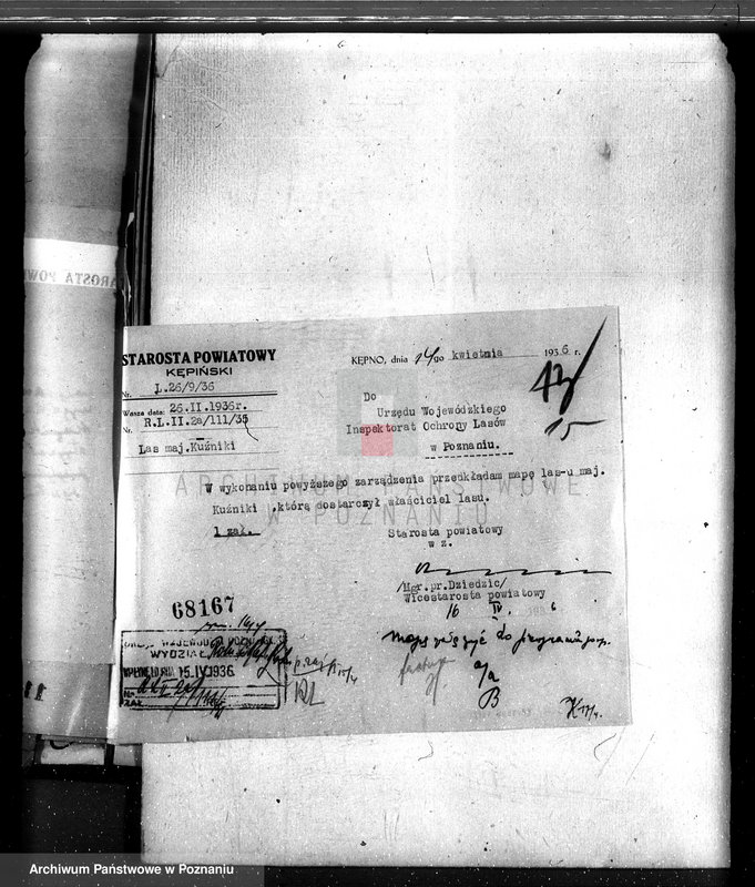 Obraz 19 z jednostki "Lasy majątku Kuźniki powiatu kępińskiego"