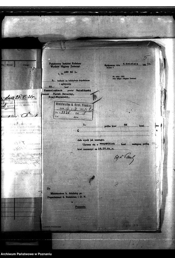 Obraz 9 z jednostki "Nosacizna - Działdowo"