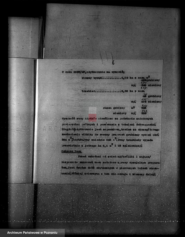 Obraz 10 z jednostki "Program urządzenia gospodarstwa leśnego lasu probostwa Modrzu powiat poznański"