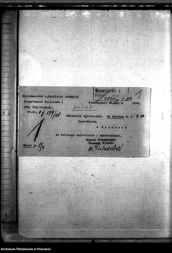 Obraz 5 z jednostki "Nosacizna - Żnin"