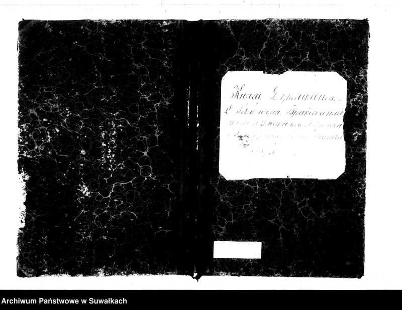 image.from.unit.number "Kniga Duplikat o Rodivšichsja brakosočetavšichsja i umeršich Lozdzejskago Rimsko- katoličeskago Prichoda 1875 goda"