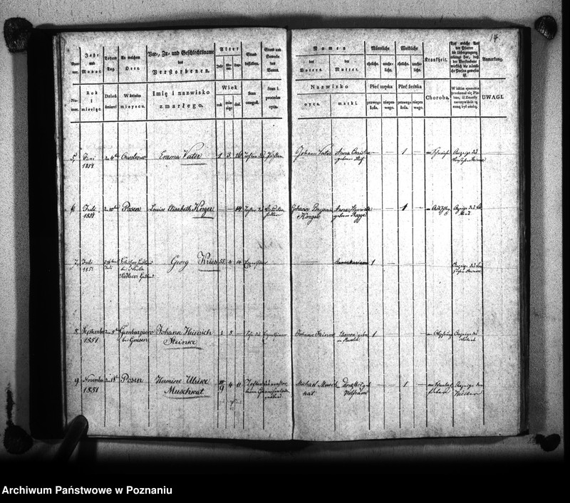 Obraz 19 z jednostki "Księga zejścia"