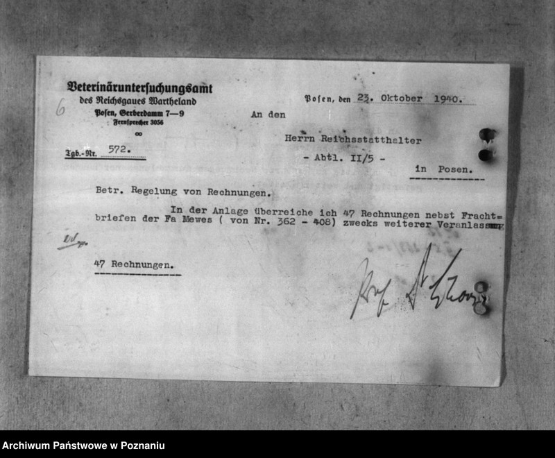 Obraz 10 z jednostki "Veterinärverwaltung"