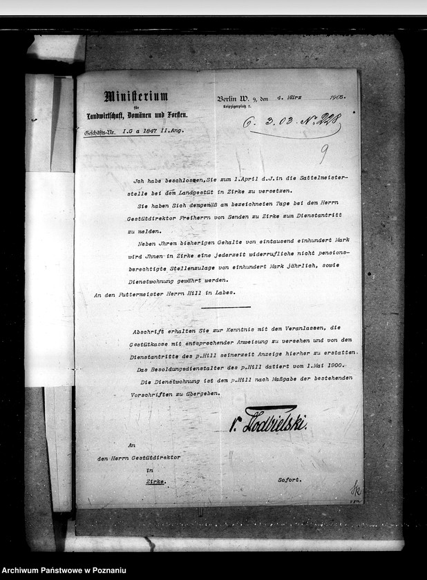 Obraz 13 z jednostki "Akta betr. fuer Anstellung und Versetzungen der Gestuet - Beamten."