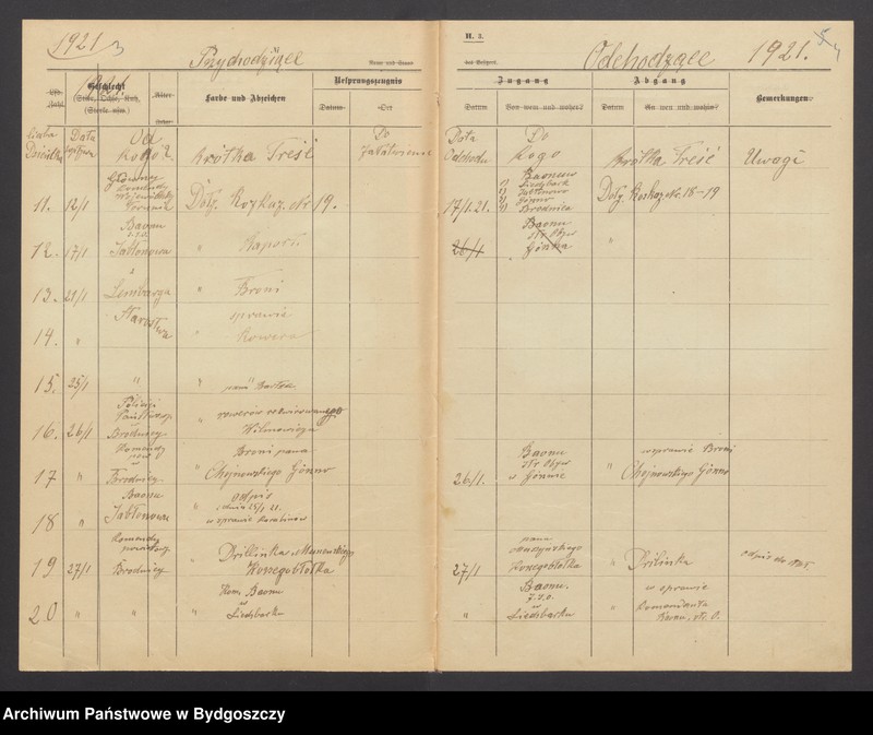 image.from.unit.number "Dziennik Komendy Powiatowej Straży Obywatelskiej w Brodnicy za rok 1921"