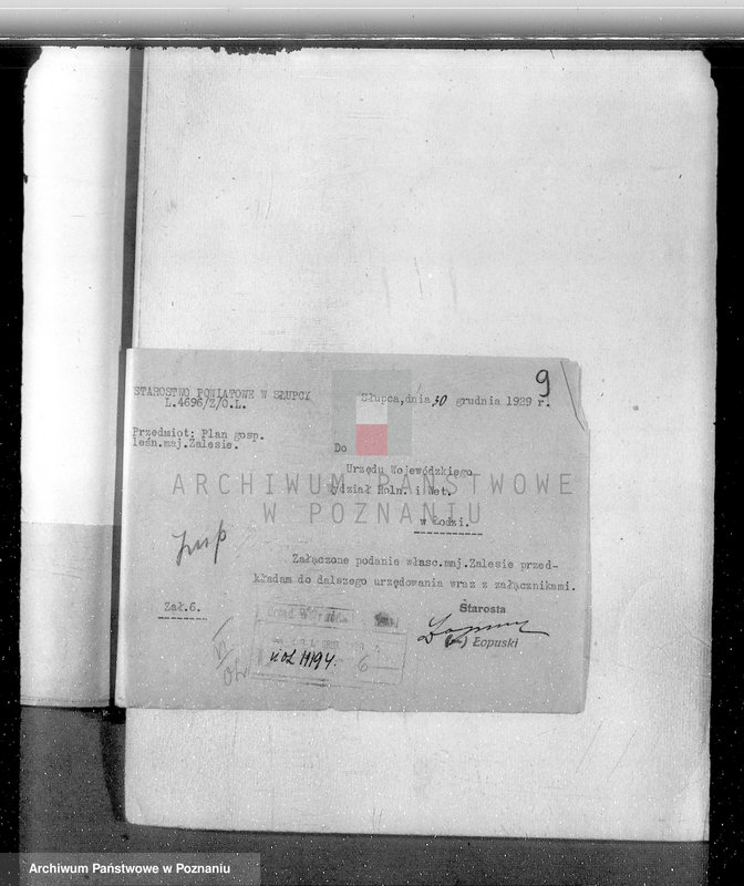 Obraz 12 z jednostki "Sprawa zmiany rodzaju użytkowania 14,42 ha gruntów leśnych w majątku Zalesie powiatu słupeckiego i zatwierdzenie planu gospodarczego"