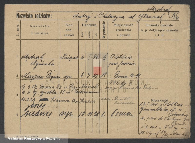 Obraz 18 z jednostki "Mędrzak - Meglich (Moeg..)"