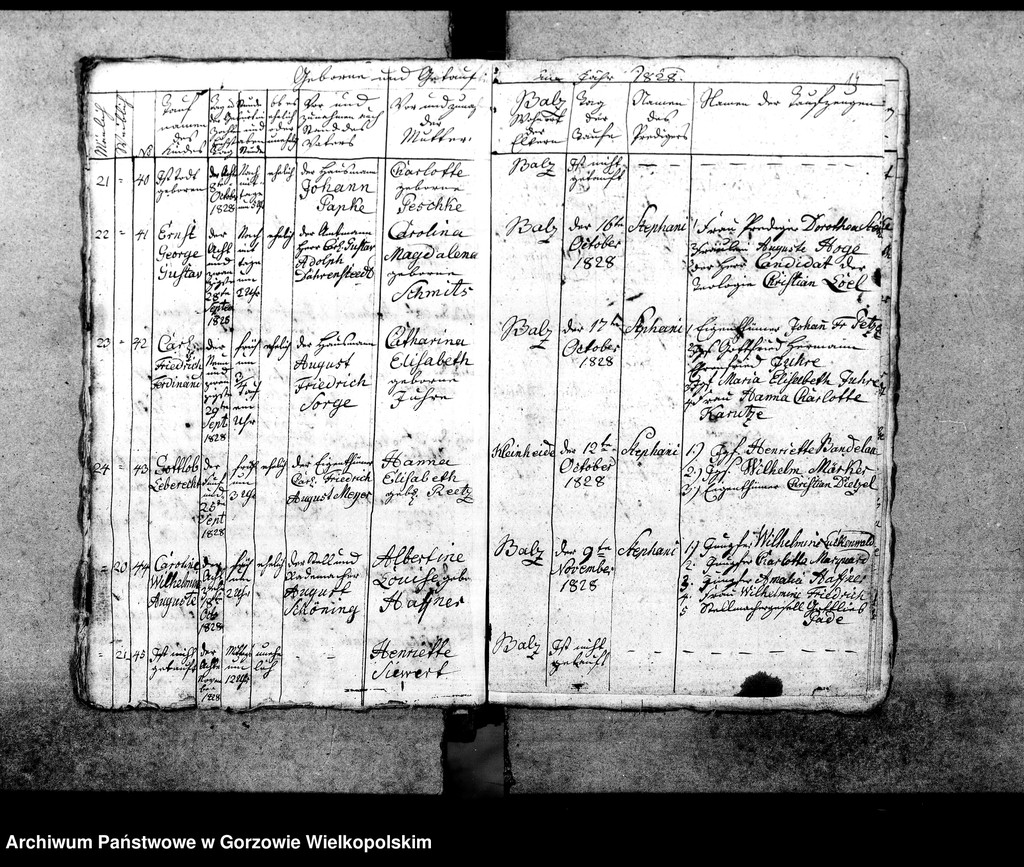 image.from.unit.number "Duplikate der Kirchenbücher von Balz: Balz (Białcz), Kleinheide Pszczelnik)"