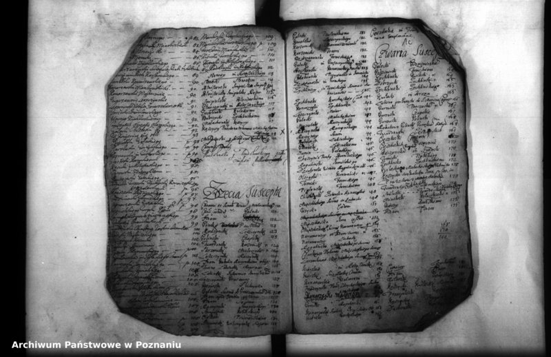 Obraz 7 z jednostki "Inscriptiones, resignationes [protocollon]"