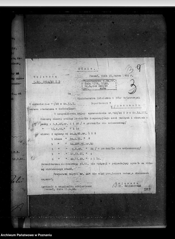 Obraz 18 z jednostki "Zaraza stadnicza"