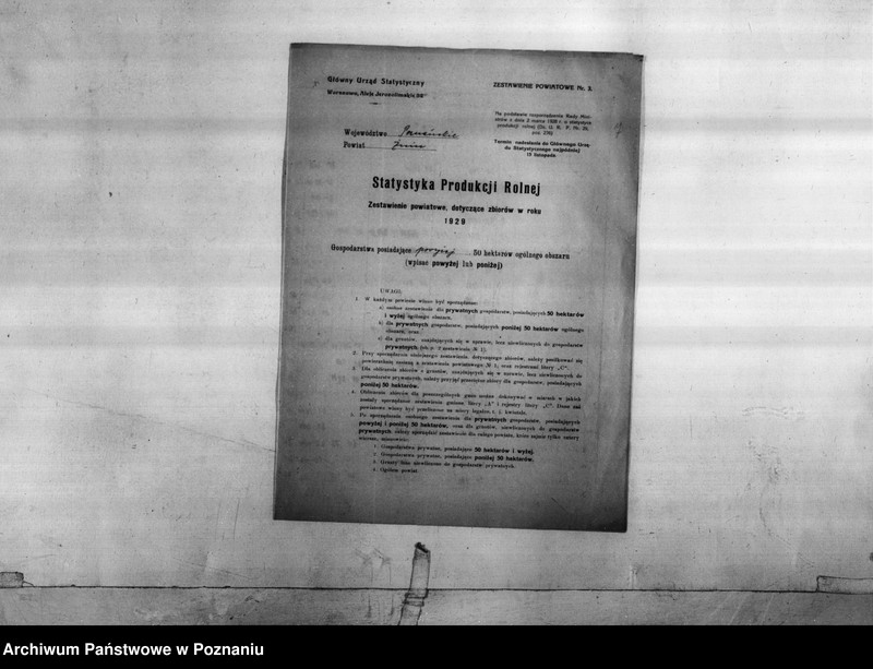 Obraz 9 z jednostki "Statystyka produkcji rolnej - zestawienie z powiatu żnińskiego"
