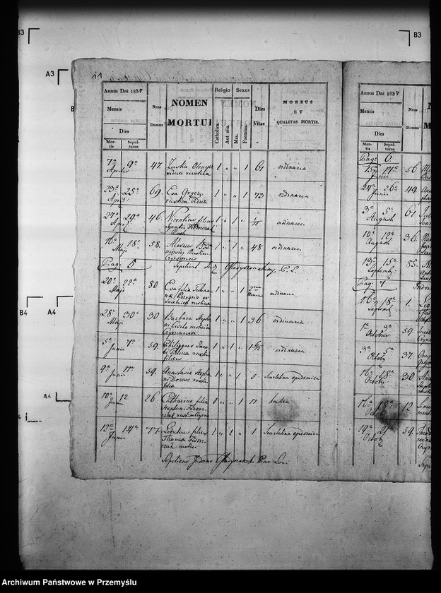 Obraz 15 z jednostki "[Kopie ksiąg metrykalnych parafii Czyrna z filią Piorunka (dekanat Grybów)]"