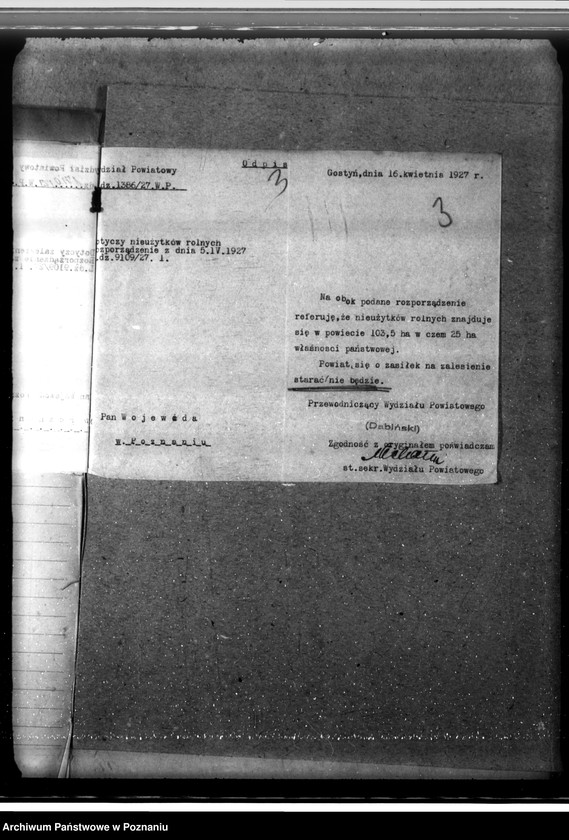 Obraz 7 z jednostki "Zalesienie nieużytków w powiecie gostyńskim"