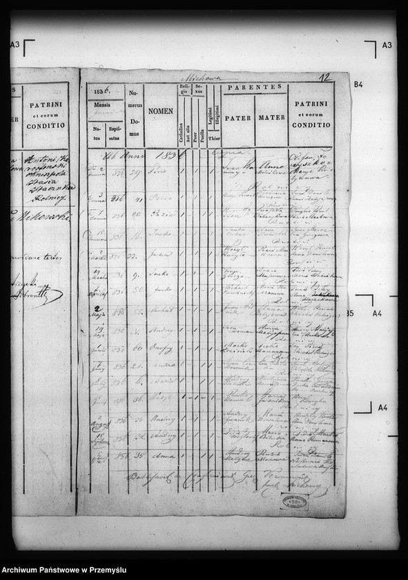 Obraz 16 z jednostki "[Kopie ksiąg metrykalnych parafii Michowa z filią Wełykie (dekanat Dobromil)]"