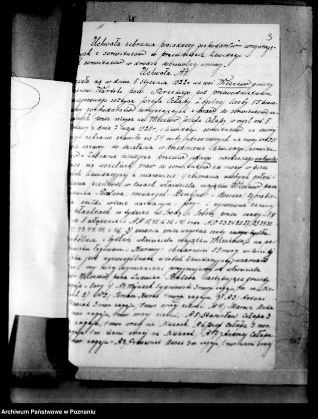 Obraz 7 z jednostki "Lustracja lasów majątku Wilczków powiat turecki"