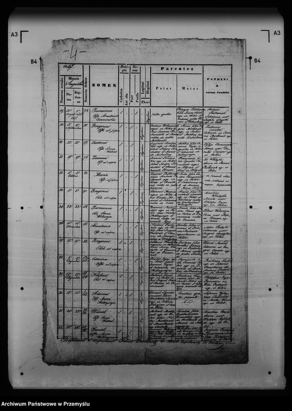 Obraz 8 z jednostki "[Kopie ksiąg metrykalnych parafii Rolów (dekanat Medenice)]"