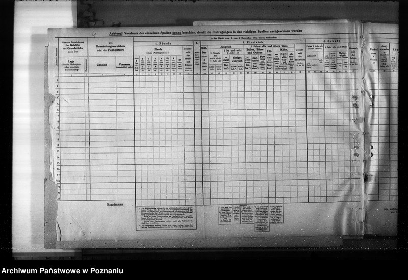 Obraz 9 z jednostki "Korespondencja, formularze i zestawienia wyników w zwiazku ze spisem bydła"