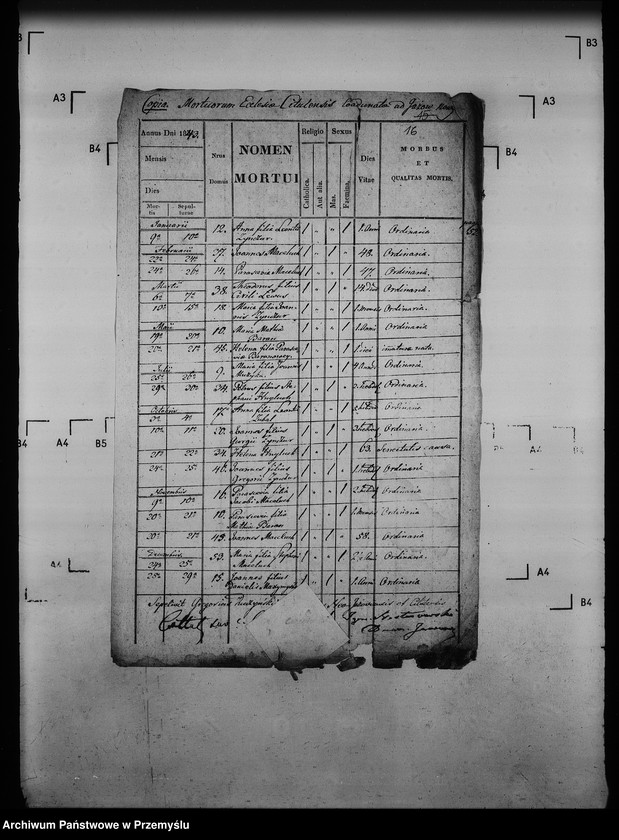 Obraz 20 z jednostki "[Kopie ksiąg metrykalnych parafii Jazów Nowy z filią Cetula (dekanat Jaworów)]"