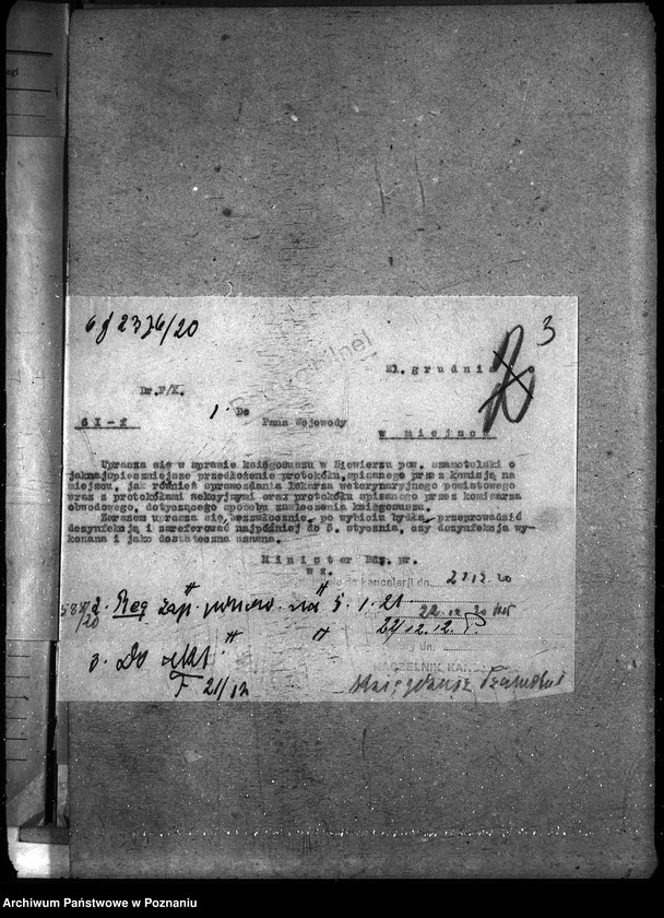 Obraz 7 z jednostki "Księgosusz - Szamotuły"