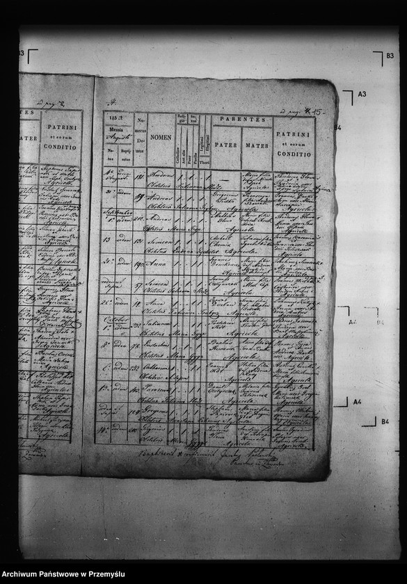 Obraz 19 z jednostki "[Kopie ksiąg metrykalnych parafii Zawadów (dekanat Niemirów)]"