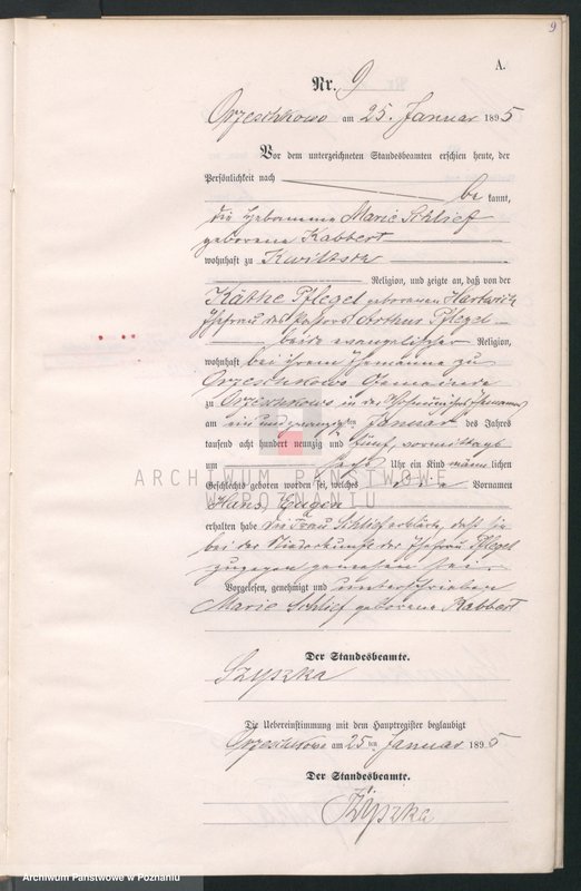 Obraz 12 z jednostki "Księga urodzeń"