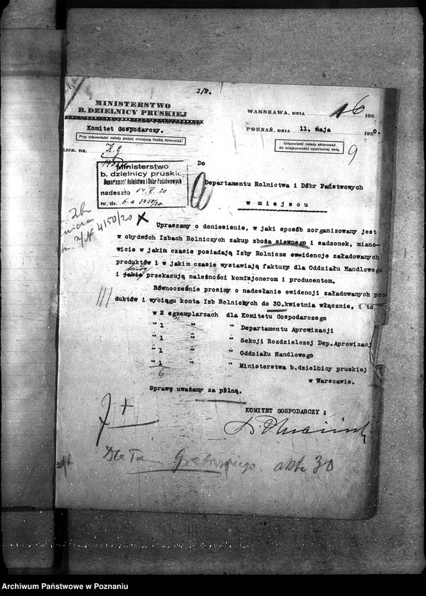 Obraz 11 z jednostki "Zboże uznane do siewu - ogólne sprawy"