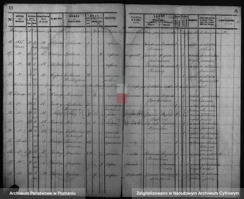 Obraz 17 z jednostki "Duplicatus baptisatorum, copulatorum, mortuorum"