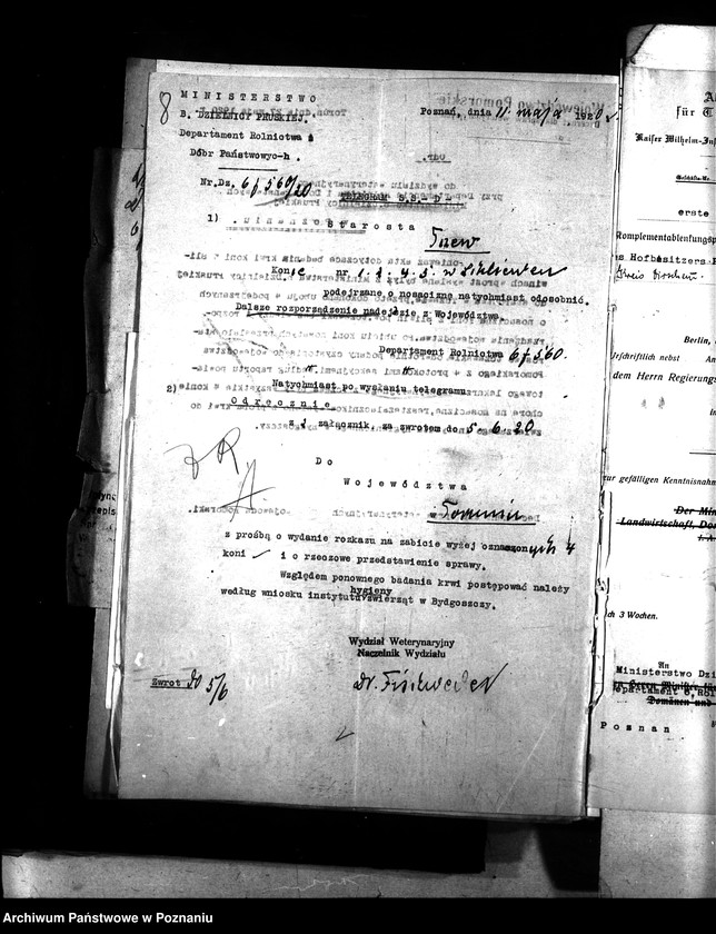 Obraz 12 z jednostki "Nosacizna - Tczew"