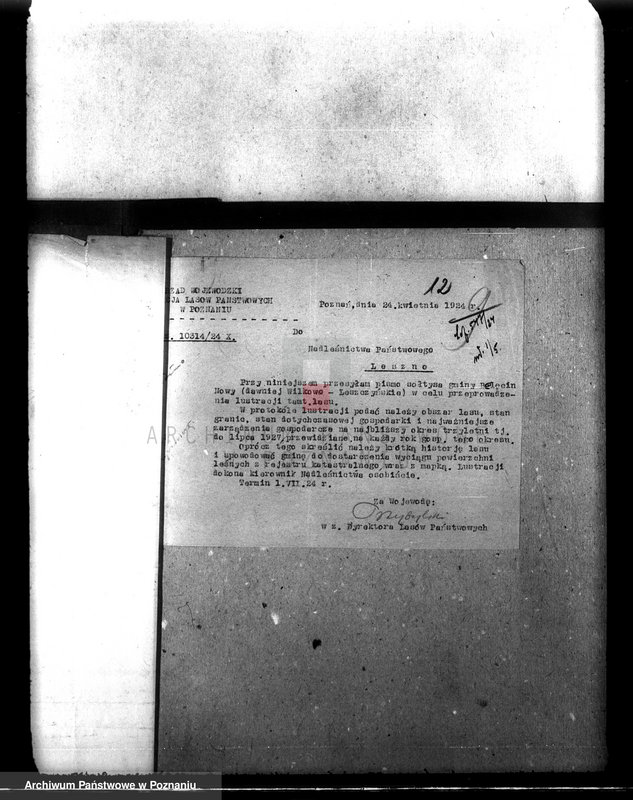 Obraz 16 z jednostki "Las gromady Belęcin-Nowy powiat leszczyński"