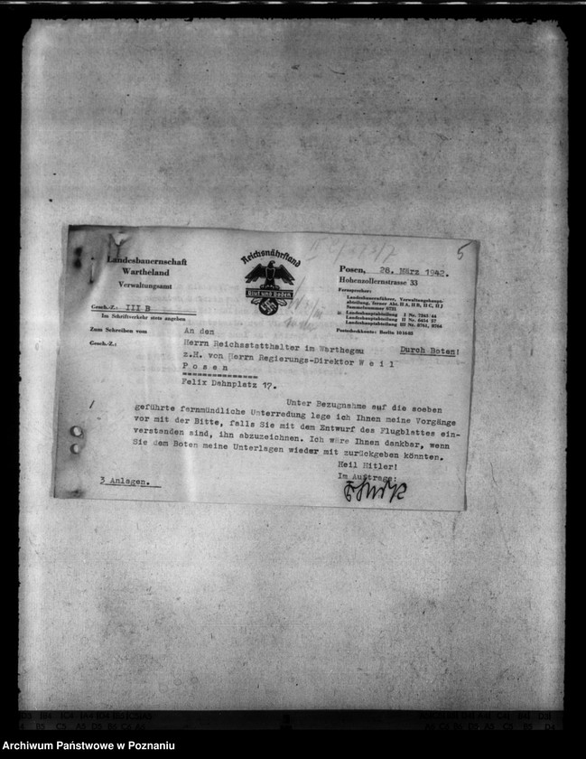 Obraz 9 z jednostki "Notschlachtungen"