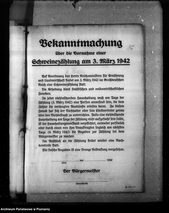 Obraz 19 z jednostki "Viehzählung (korespondencja, formularze)"