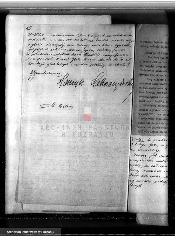 Obraz 19 z jednostki "Sprawa zmiany wydzielenia około 1300 ha gruntów leśnych w lasach miasta Pyzdry ewentualnie z przymusową likwidacją serwitutów wsi Holendry Pyzderskie"