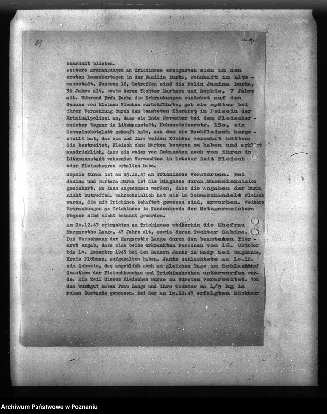 Obraz 15 z jednostki "Trichinose, Typhus"