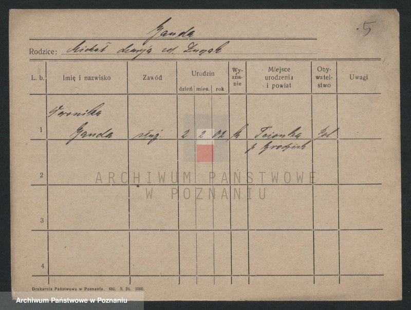 Obraz 7 z jednostki "Gand - Garczyk"