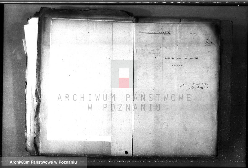 Obraz 19 z jednostki "/Lasy prywatne/ Spis według powiatów"