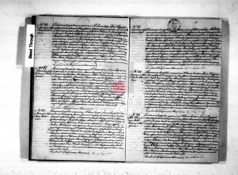 image.from.unit.number "Kniga duplikat o rodiwšichsja, brakosočetawšichsja i umeršich Sveto-Jezerskago prichoda s 1875 goda"