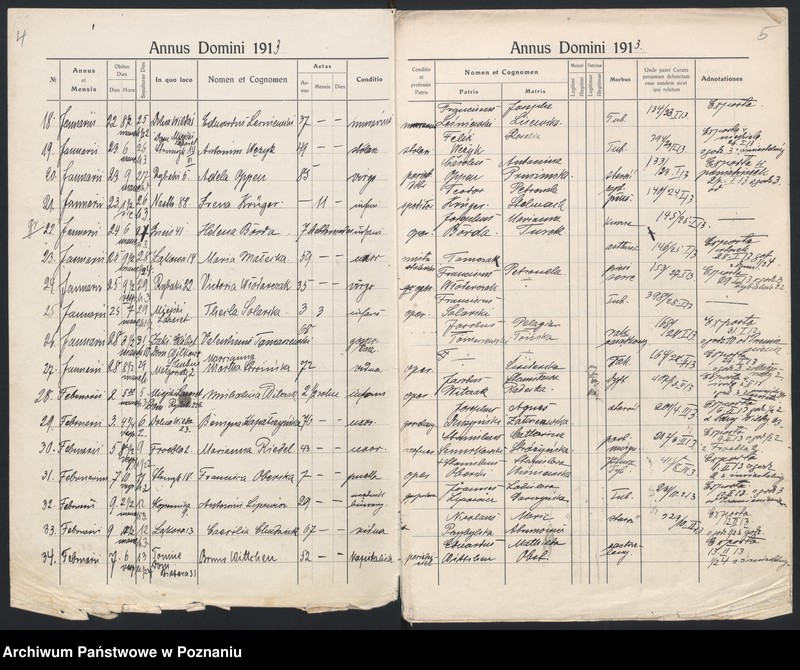 Obraz 5 z jednostki "Indeks zgonów"