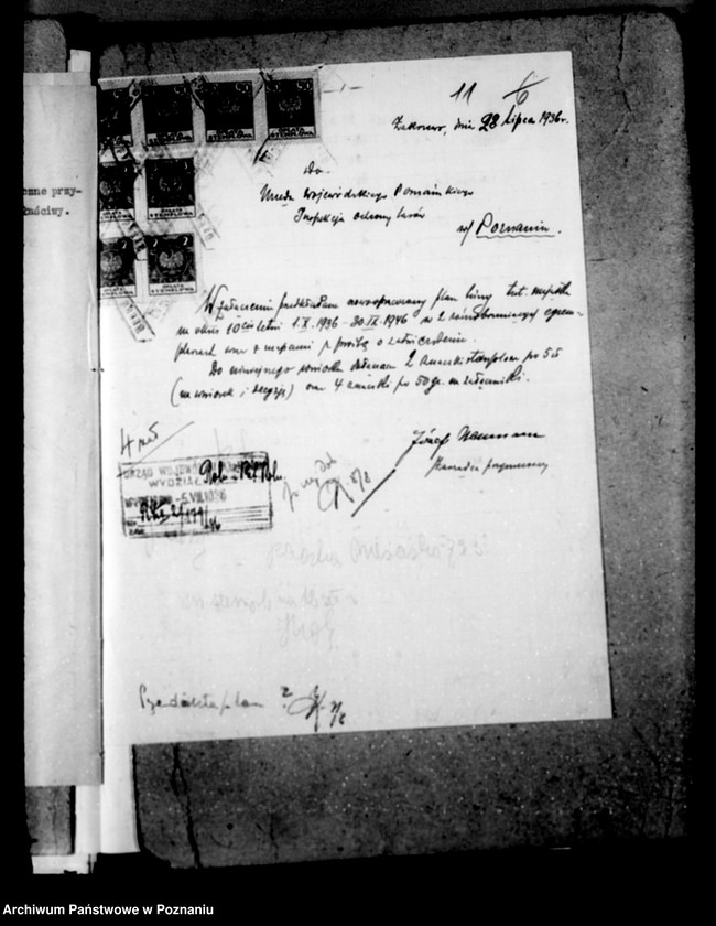 Obraz 15 z jednostki "Majętność leśna Zakrzewo powiat wągrowiecki"