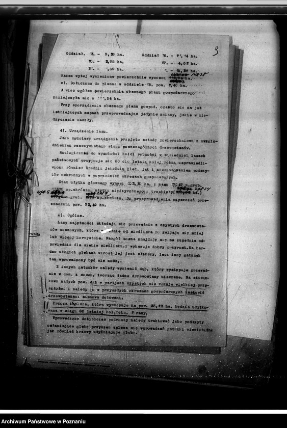 Obraz 7 z jednostki "Program urządzenia gospodarstwa leśnego lasu majętności Owińska powiat poznański"