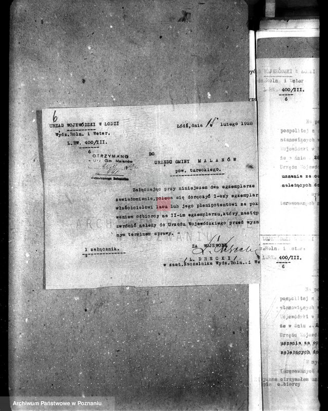 Obraz 10 z jednostki "Uznanie za ochronne powierzchni około 25 ha terenów leśnych pod nazwą,,Bibianna" należących do majątku Malanów powiat turecki"