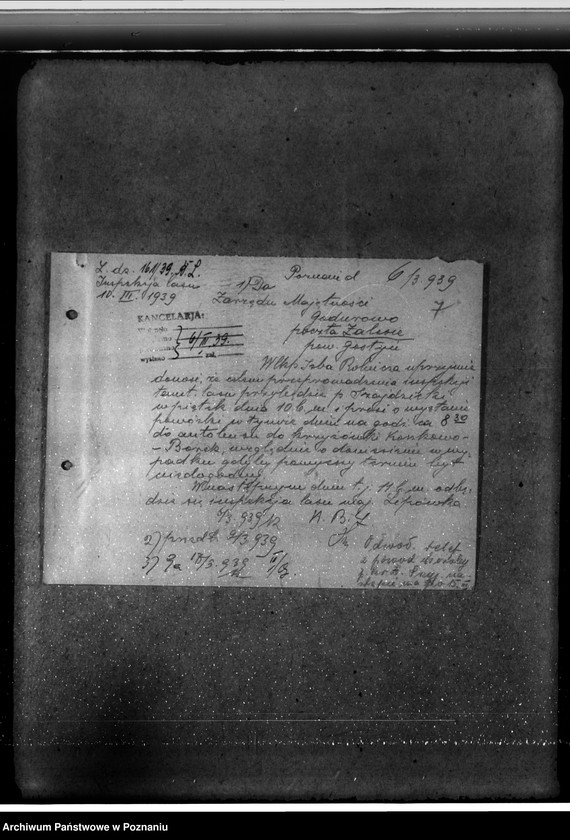 Obraz 11 z jednostki "Majętność leśna Godurowo w powiecie gostyńskim"