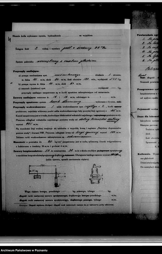 Obraz 8 z jednostki "Majętność Braniewo powiat wyrzyski Wł. Januszewskiego nr woj. kotła 5589"