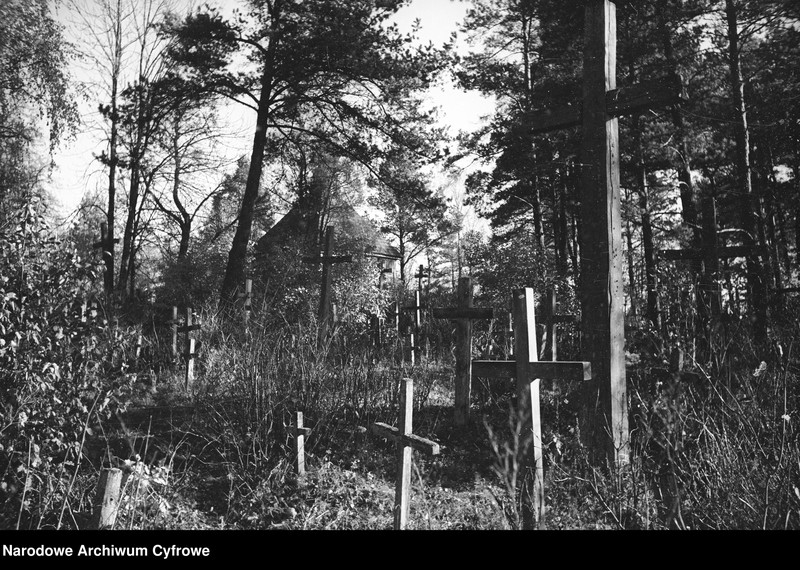 image.from.unit.number "Białowieża"