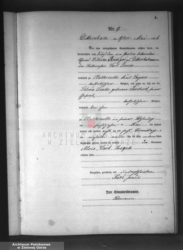 Obraz 12 z jednostki "[Księga aktów urodzeń]"