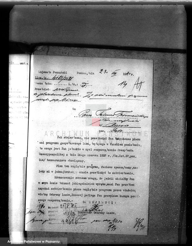 Obraz 19 z jednostki "Nadzór nad gospodarką w lasach majętności Borowo powiat średzki"