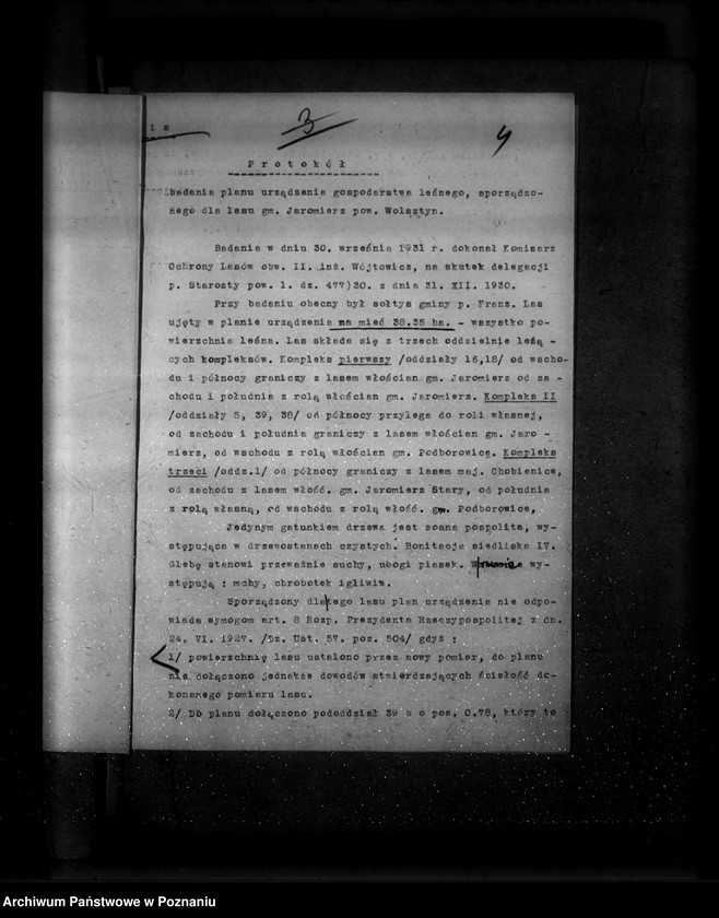 Obraz 8 z jednostki "Las gminy Jaromierz powiat wolsztyński"