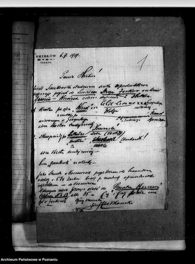 Obraz 5 z jednostki "Sprawy stadnin stadniny - ogólne zarządu stadnin"