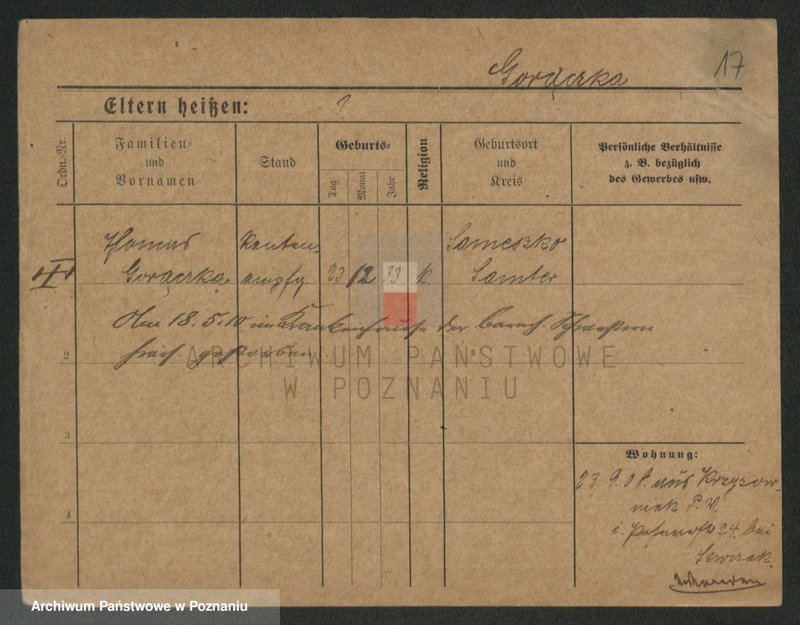 Obraz 19 z jednostki "Goroncy - Gorniakowski"