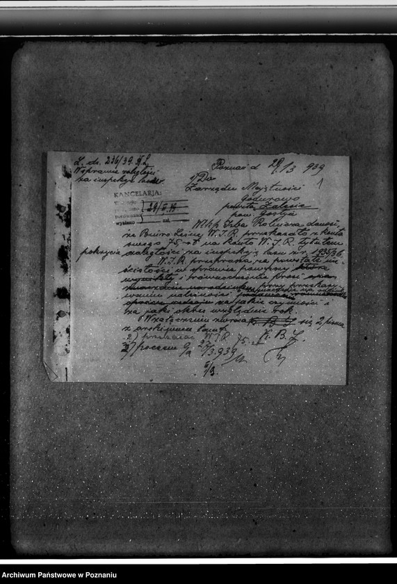 Obraz 5 z jednostki "Majętność leśna Godurowo w powiecie gostyńskim"